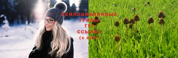 ALPHA PVP Алексеевка