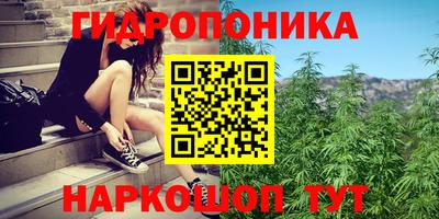 дживик Можга