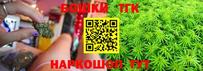 дживик Можга