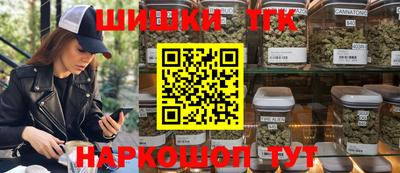 дживик Можга