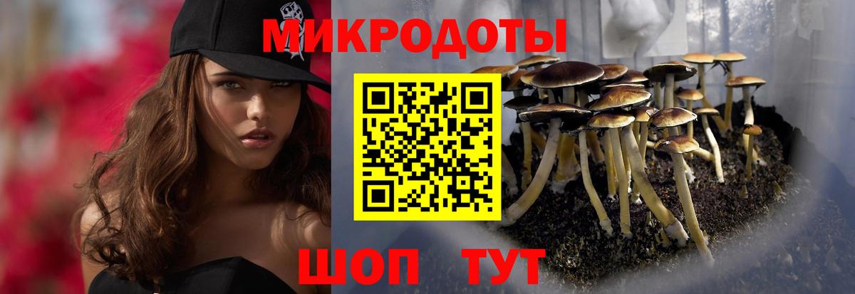 Псилоцибиновые грибы Psilocybe  Вход с VPN  Псилоцибиновые грибы Psilocybine cubensis  Бирск 